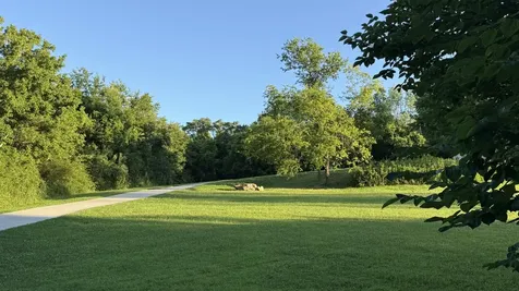2022 Southport Road Culleoka TN 38451