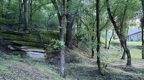2022 Southport Road Culleoka TN 38451
