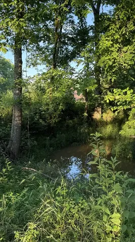 2022 Southport Road Culleoka TN 38451