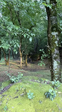 2022 Southport Road Culleoka TN 38451