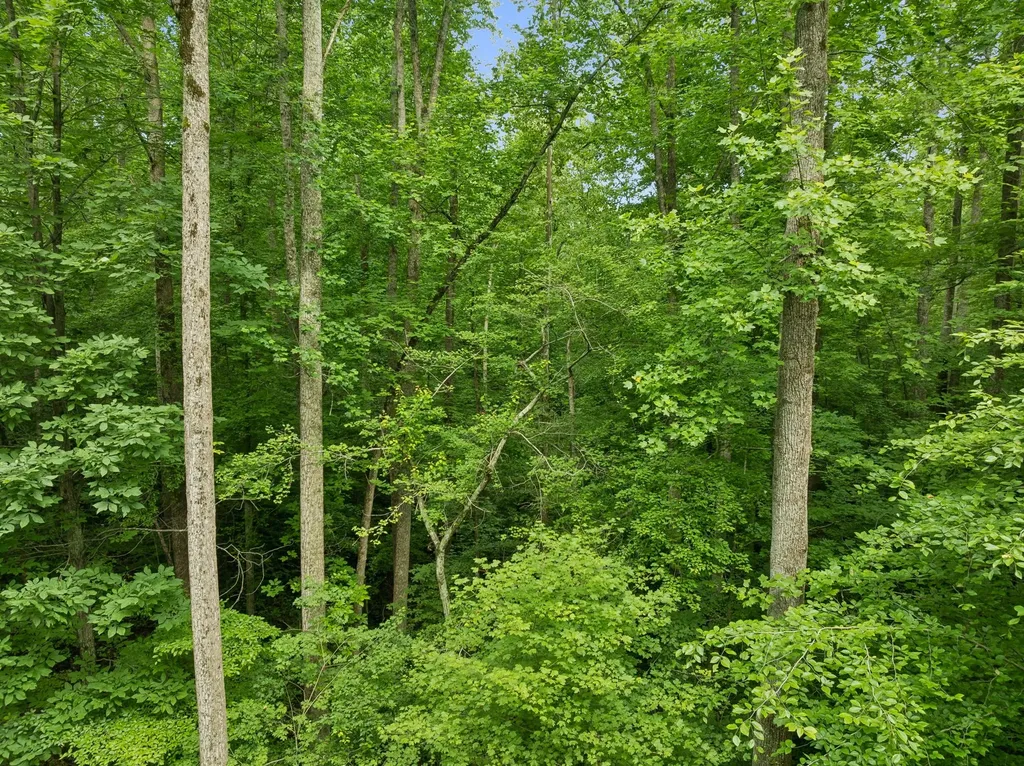 0 Davis Hollow Road Franklin TN 37064