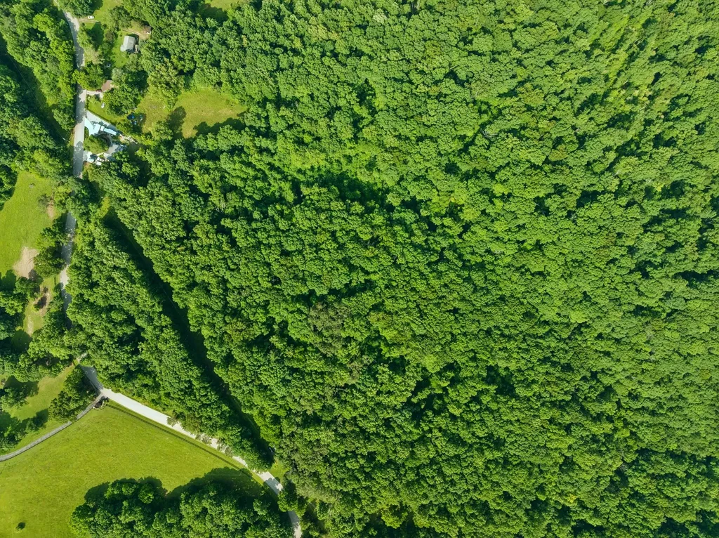 0 Davis Hollow Road Franklin TN 37064