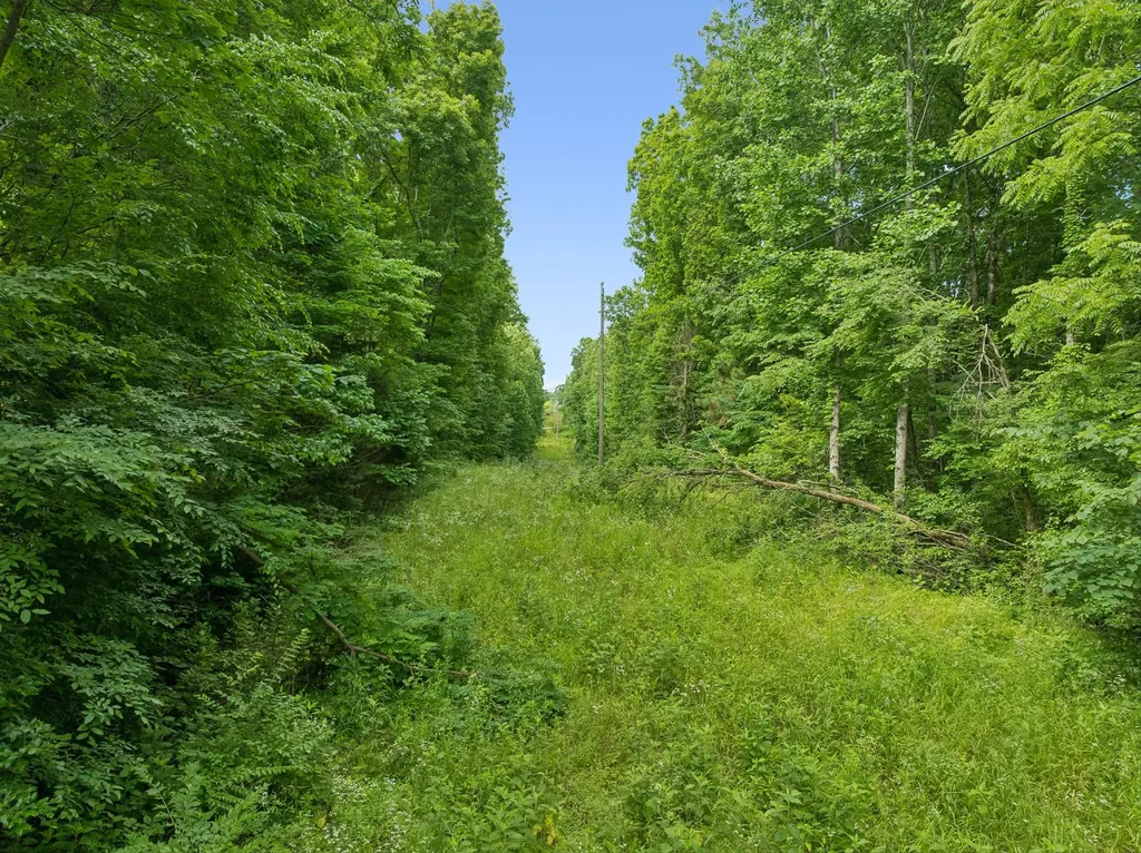 0 Davis Hollow Road Franklin TN 37064