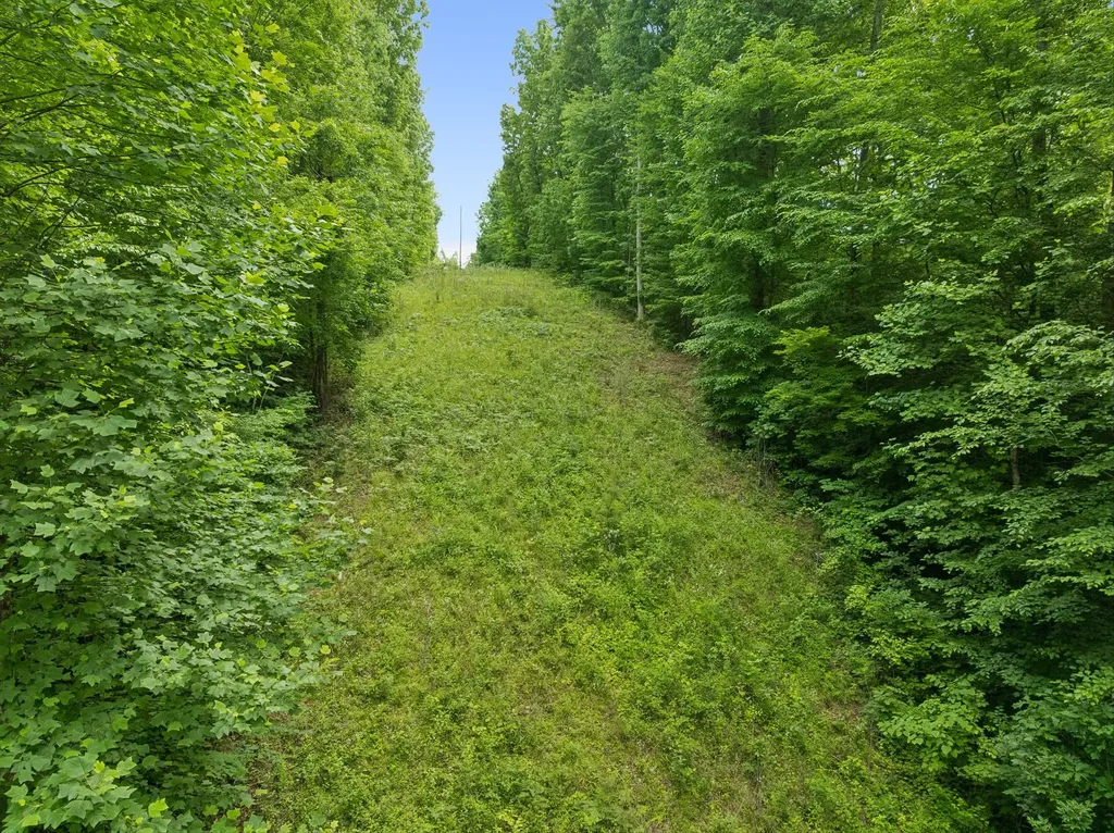 0 Davis Hollow Road Franklin TN 37064