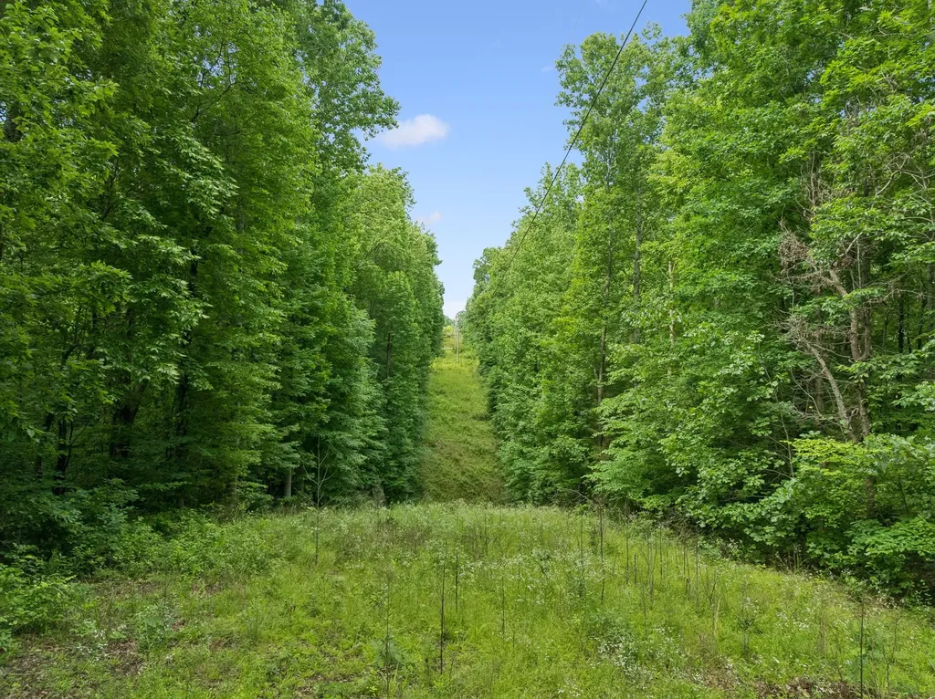 0 Davis Hollow Road Franklin TN 37064