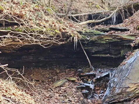 0 Davis Hollow Road Franklin TN 37064