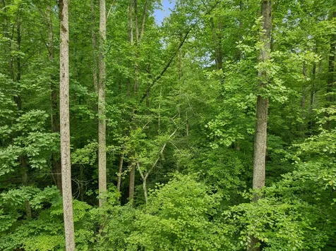 0 Davis Hollow Road Franklin TN 37064