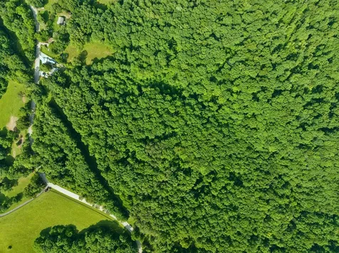 0 Davis Hollow Road Franklin TN 37064