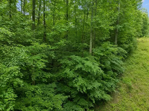 0 Davis Hollow Road Franklin TN 37064