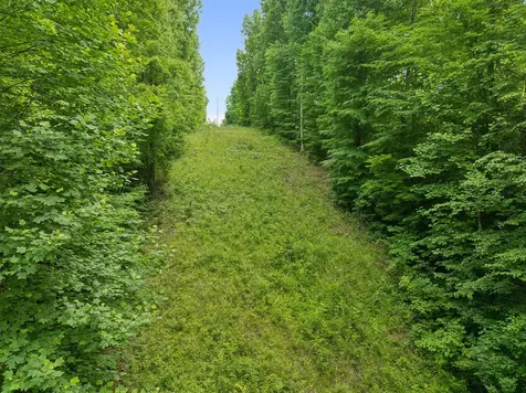 0 Davis Hollow Road Franklin TN 37064