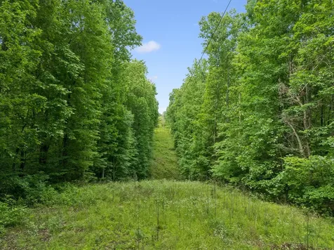 0 Davis Hollow Road Franklin TN 37064