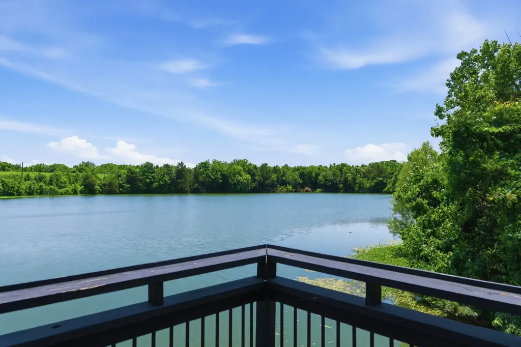 2009 Ellsworth Lane Arrington TN 37014