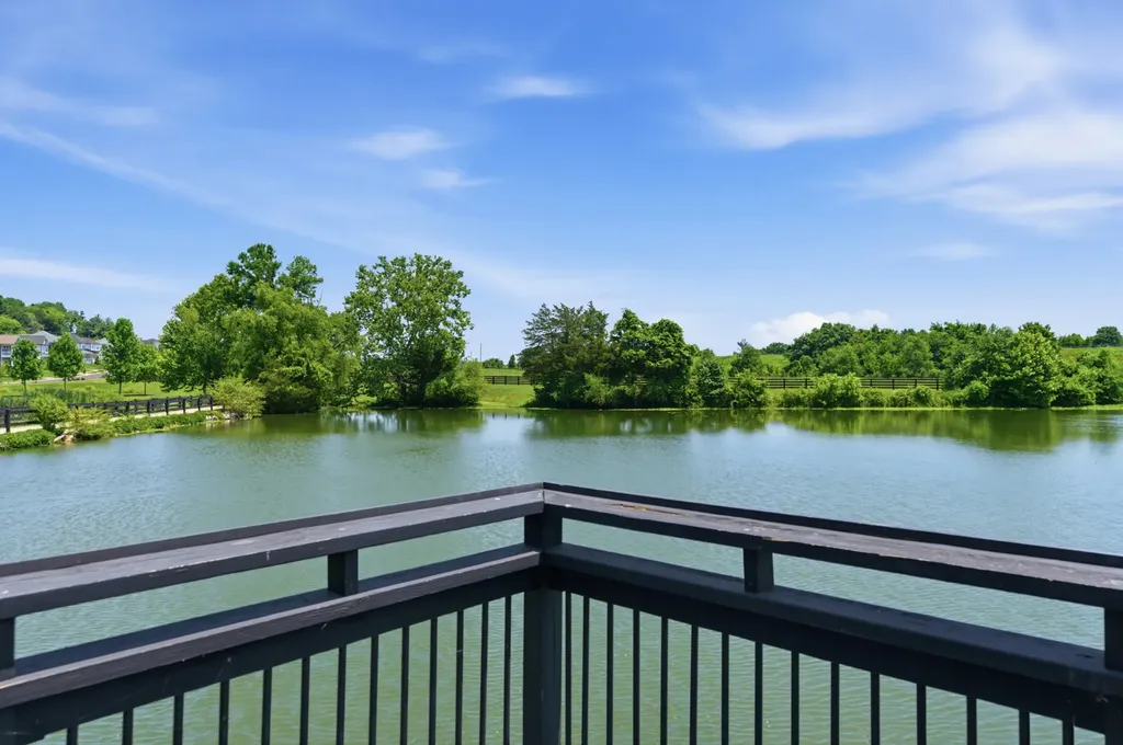 2009 Ellsworth Lane Arrington TN 37014