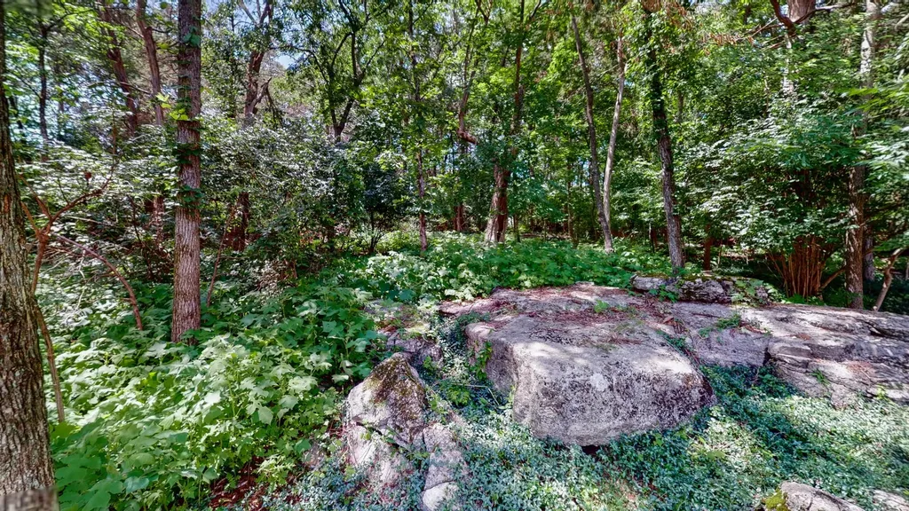 2017 Alice Springs Court Mount Juliet TN 37122