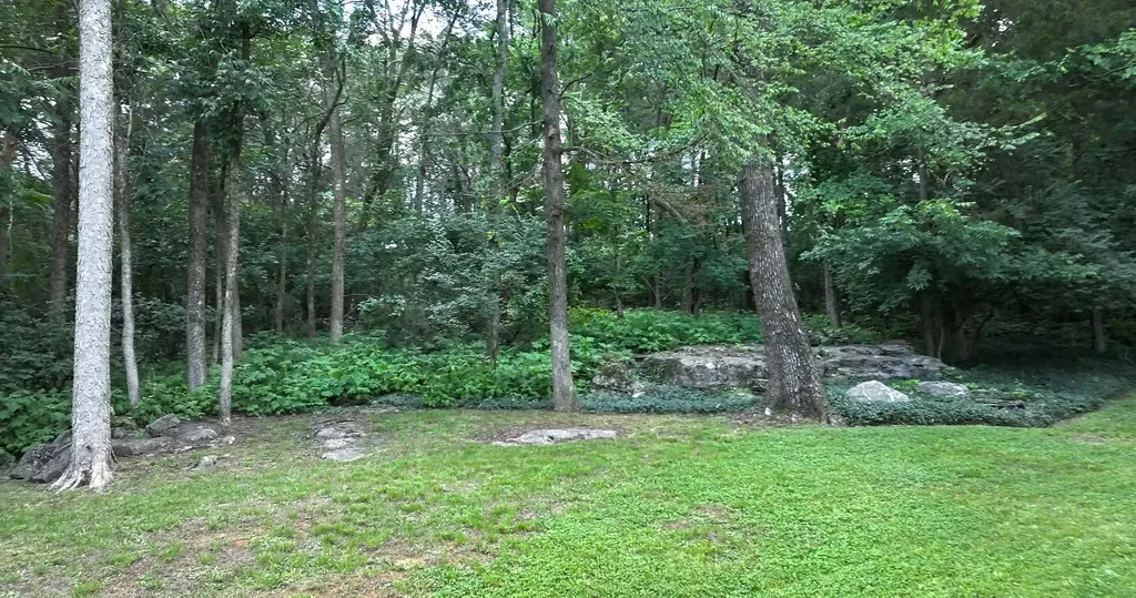 2017 Alice Springs Court Mount Juliet TN 37122