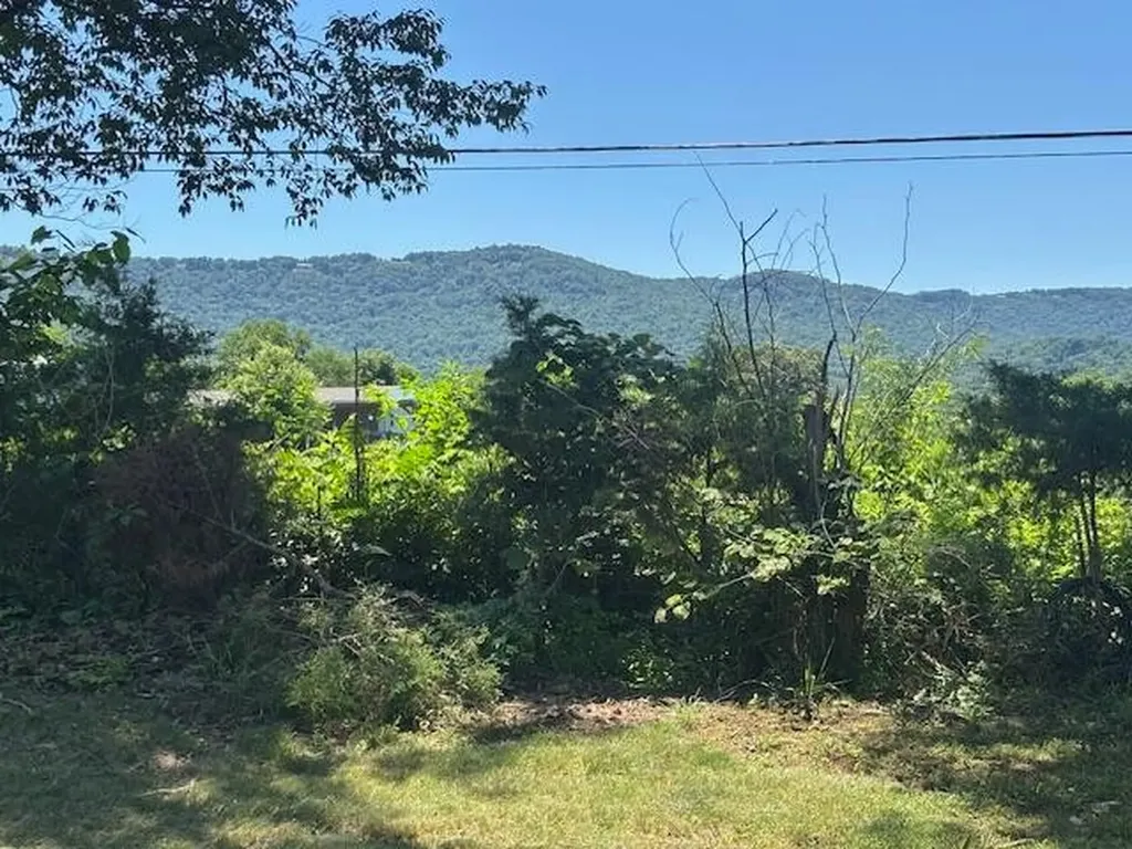 194 Patton Road Pikeville TN 37367