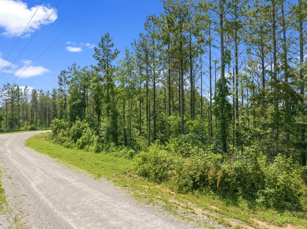 310 Highland Drive Linden TN 37096