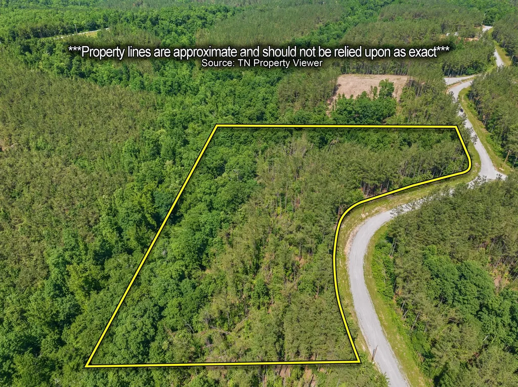 310 Highland Drive Linden TN 37096