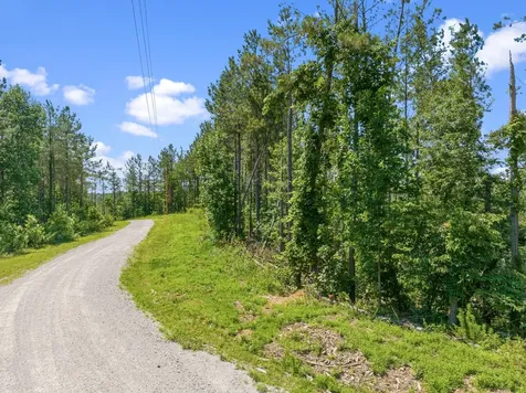 310 Highland Drive Linden TN 37096