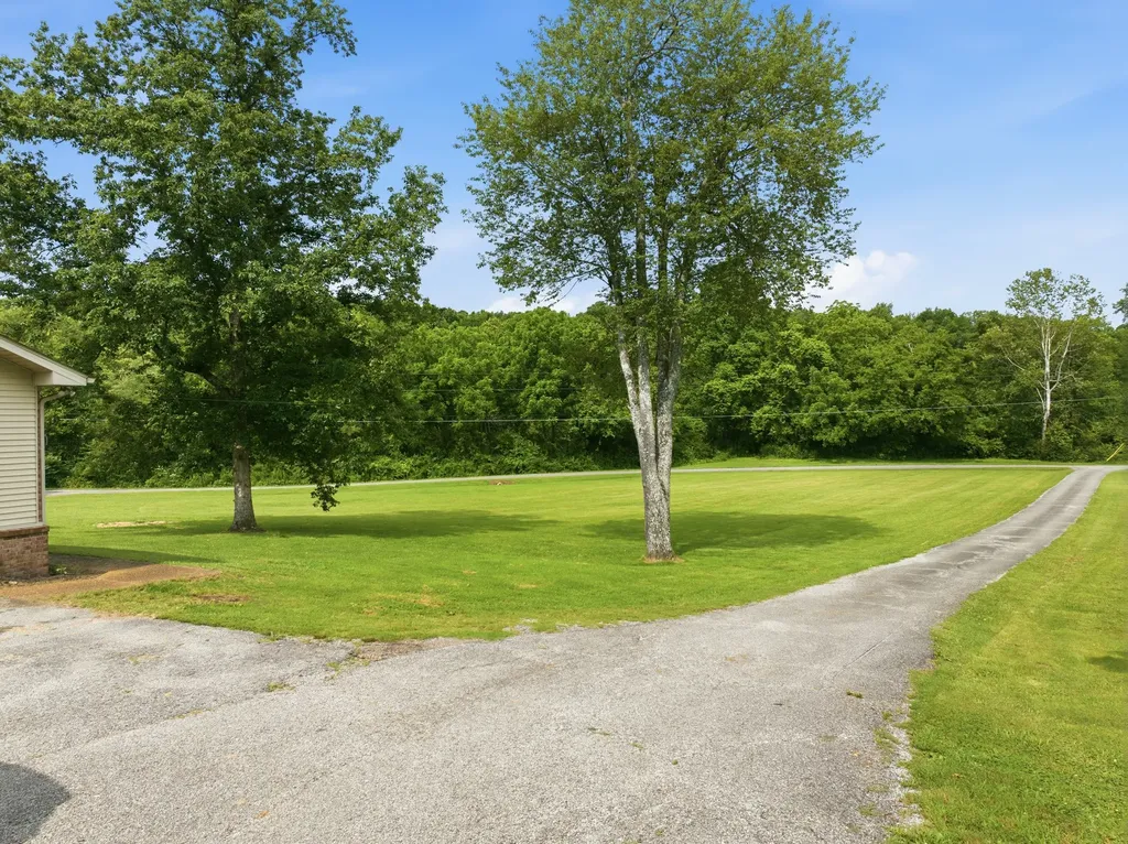 245 Rains Creek Lane Parsons TN 38363
