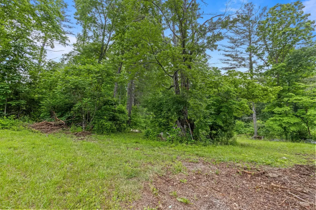 244 Luminary Firetower Road Spring City TN 37381