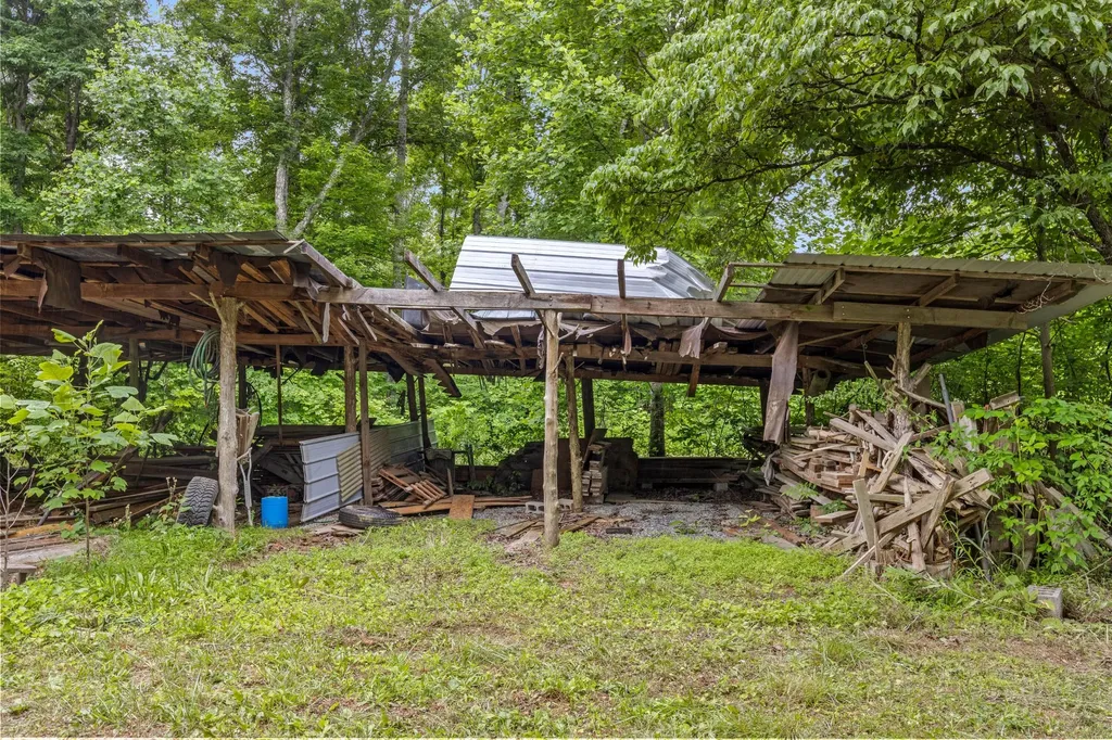 244 Luminary Firetower Road Spring City TN 37381