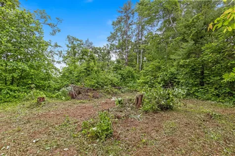 244 Luminary Firetower Road Spring City TN 37381