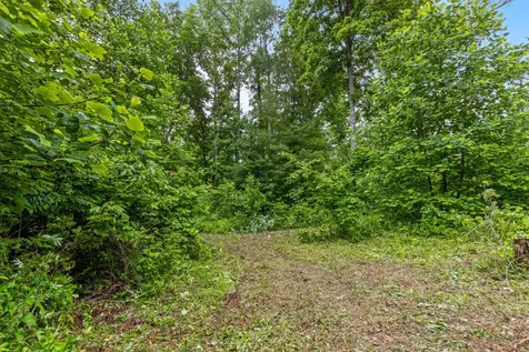 244 Luminary Firetower Road Spring City TN 37381