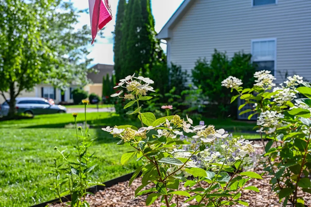 2224 Dewey Drive Spring Hill TN 37174
