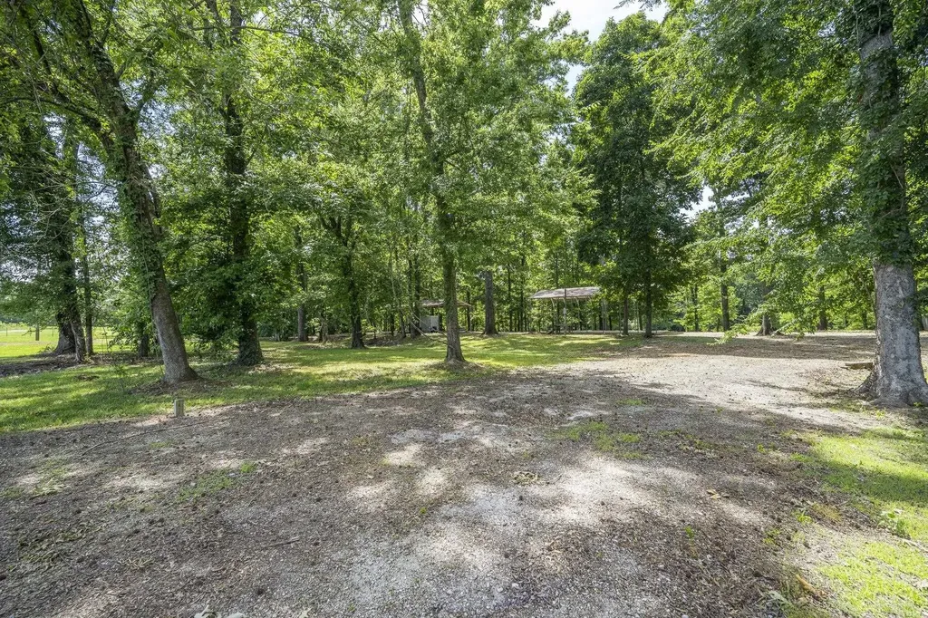 540 Teal Lane Savannah TN 38372