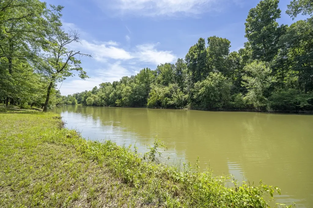 540 Teal Lane Savannah TN 38372