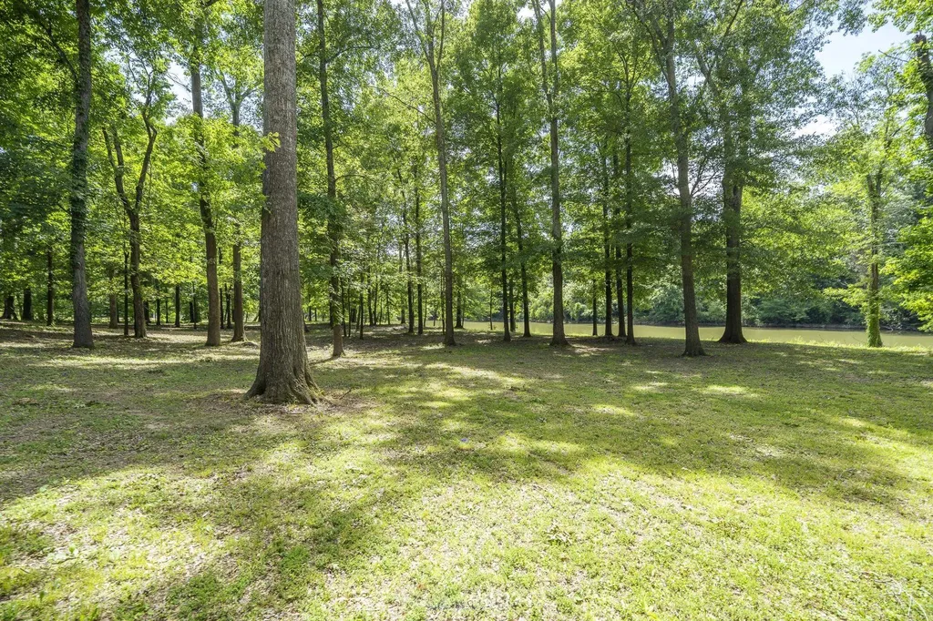 540 Teal Lane Savannah TN 38372