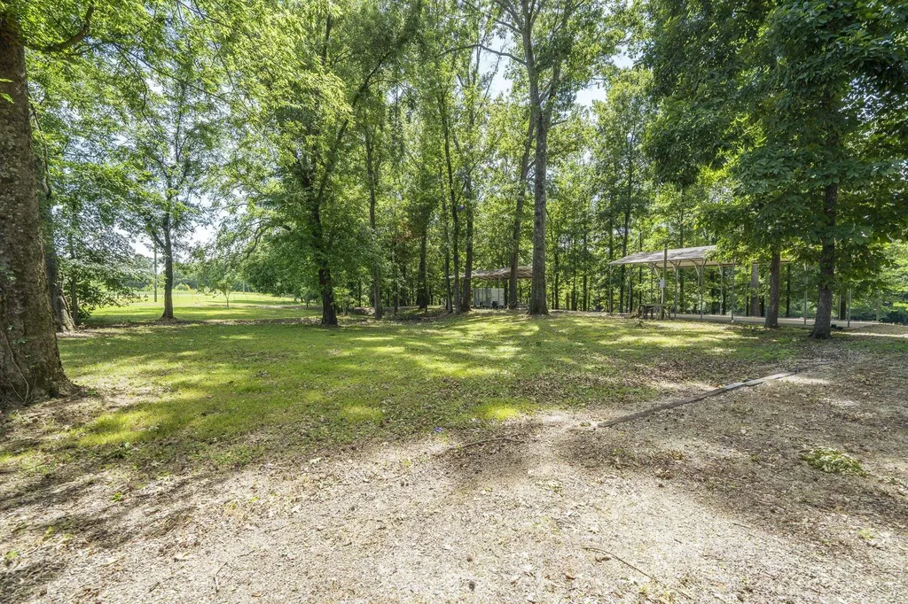 540 Teal Lane Savannah TN 38372