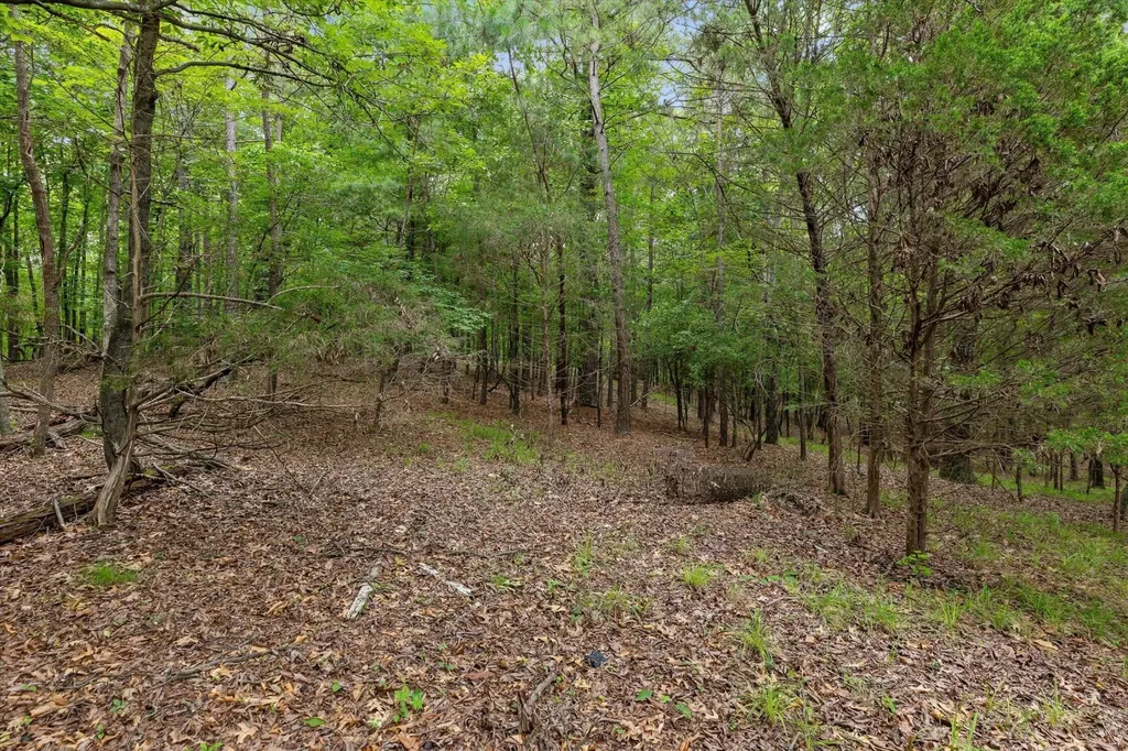 7519 Walnut Hills Drive Harrison TN 37341
