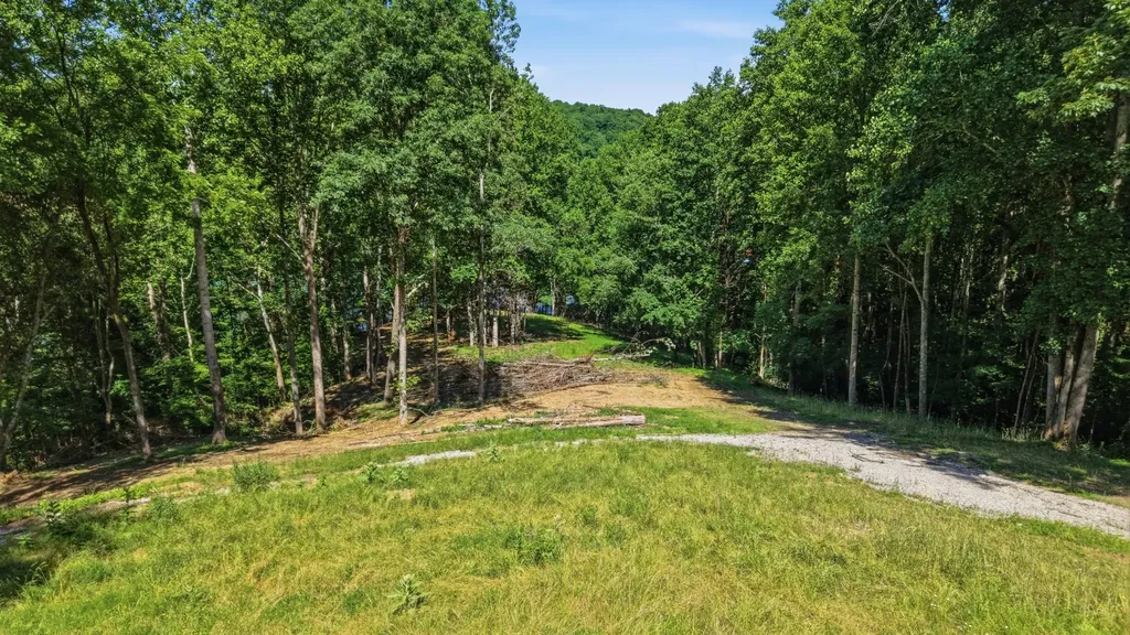 0 Ellis Lane Lynchburg TN 37352