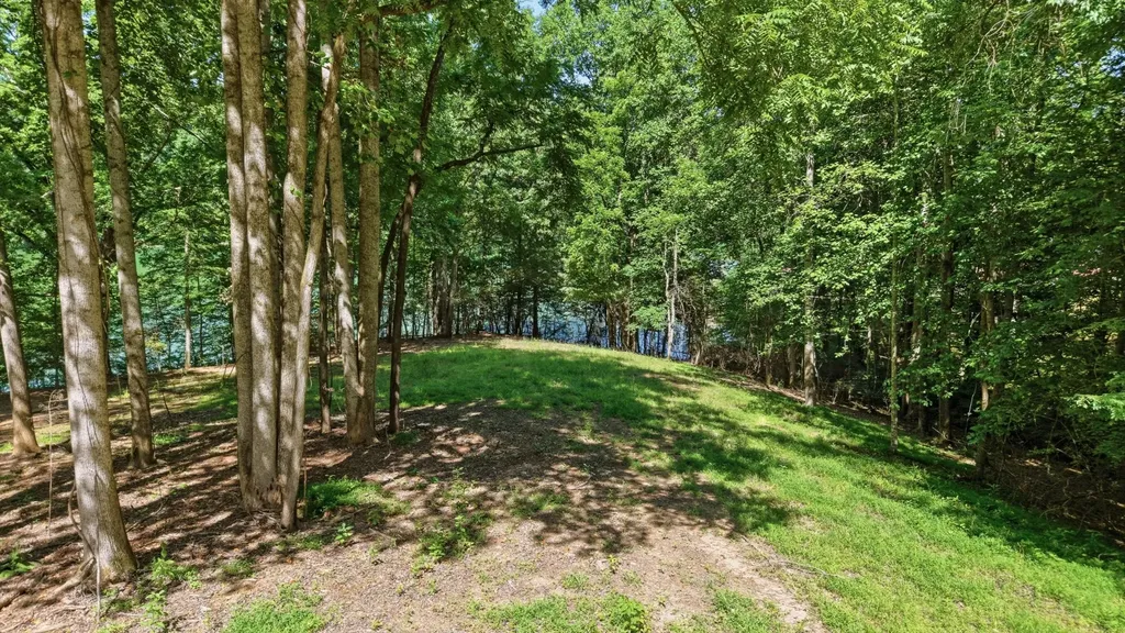 0 Ellis Lane Lynchburg TN 37352