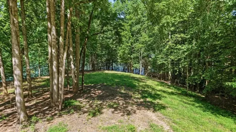 0 Ellis Lane Lynchburg TN 37352