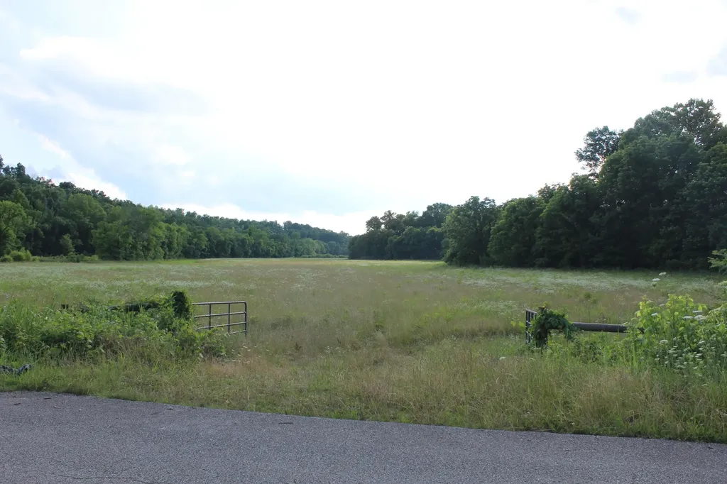 11517 Mt Carmel Road Decaturville TN 38329
