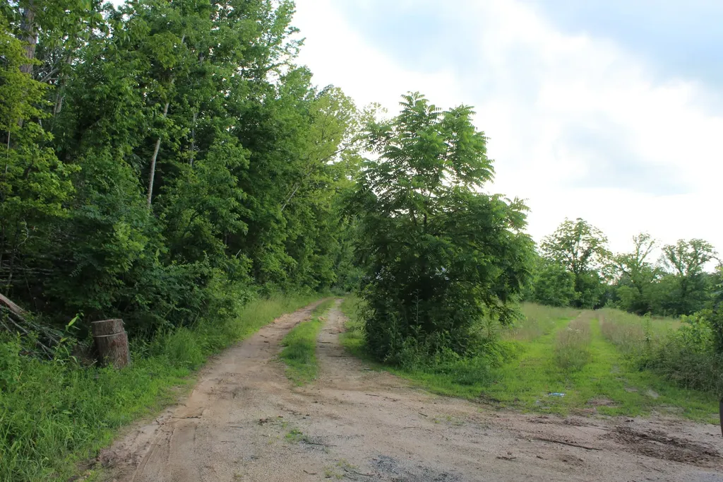 11517 Mt Carmel Road Decaturville TN 38329