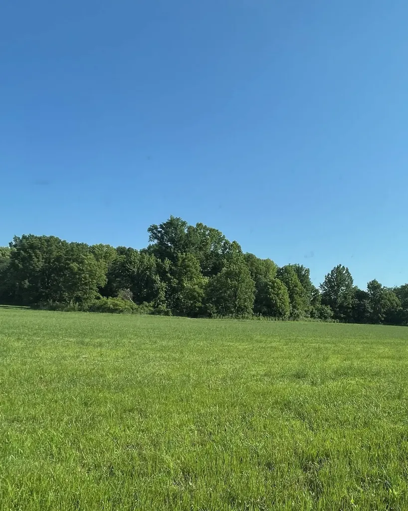 11517 Mt Carmel Road Decaturville TN 38329