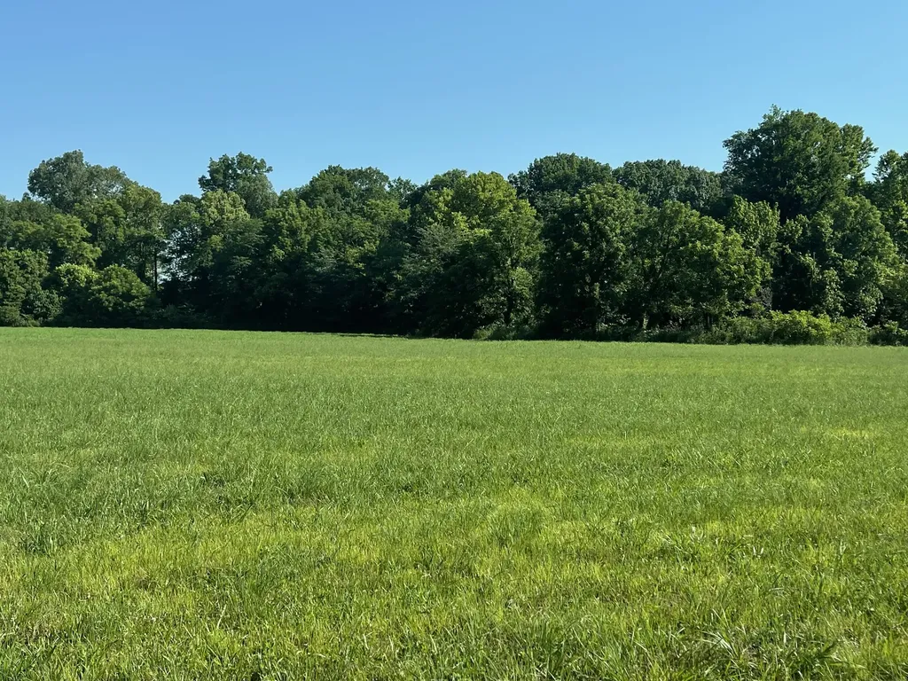 11517 Mt Carmel Road Decaturville TN 38329