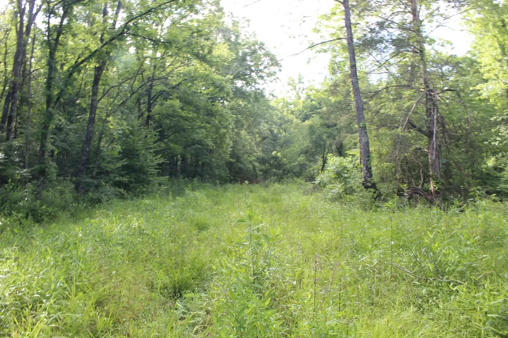 11517 Mt Carmel Road Decaturville TN 38329