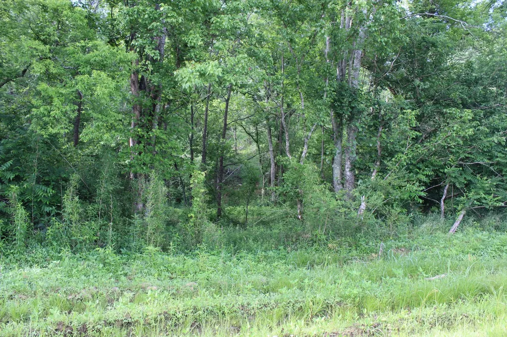 11517 Mt Carmel Road Decaturville TN 38329