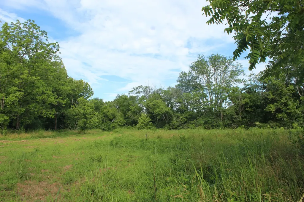11517 Mt Carmel Road Decaturville TN 38329