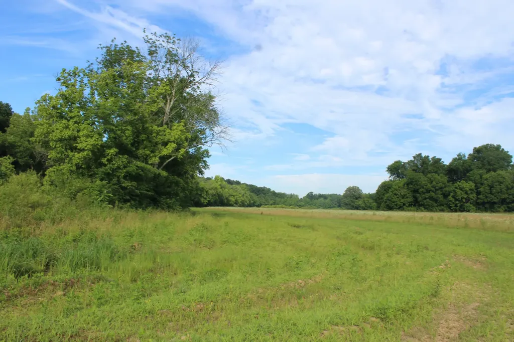 11517 Mt Carmel Road Decaturville TN 38329