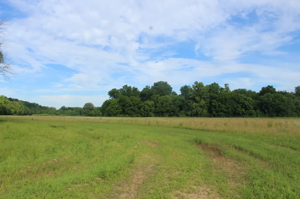 11517 Mt Carmel Road Decaturville TN 38329