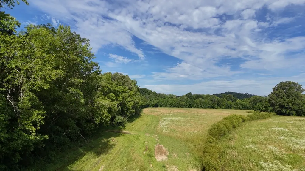 11517 Mt Carmel Road Decaturville TN 38329