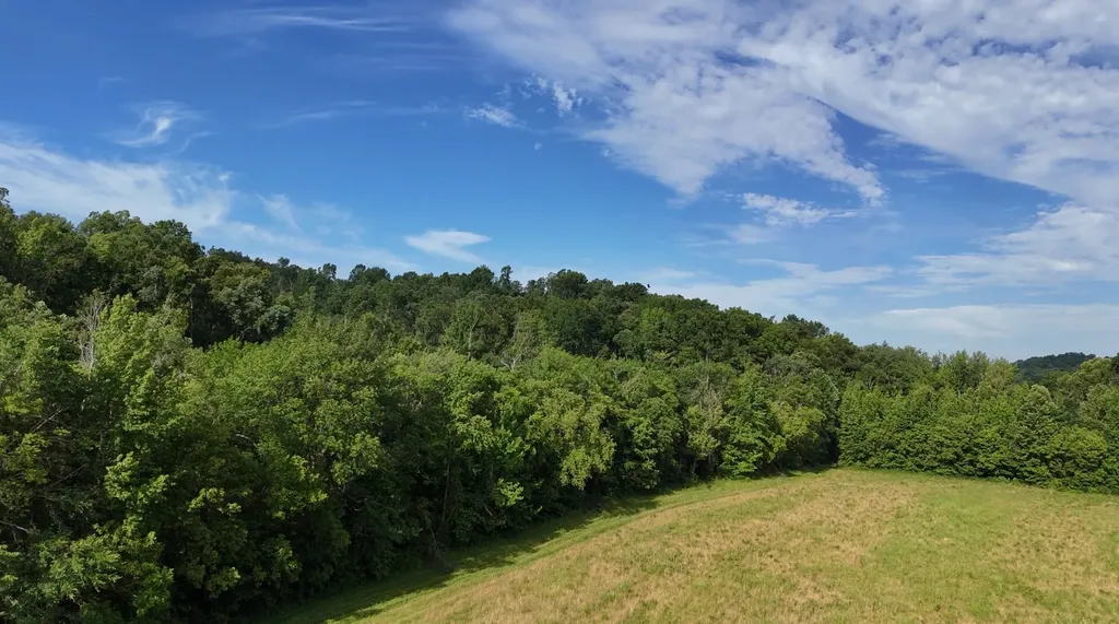 11517 Mt Carmel Road Decaturville TN 38329