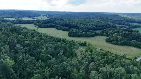 11517 Mt Carmel Road Decaturville TN 38329