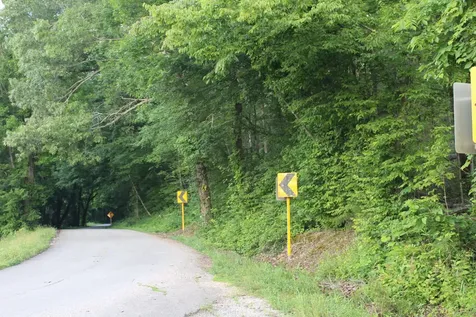 11517 Mt Carmel Road Decaturville TN 38329